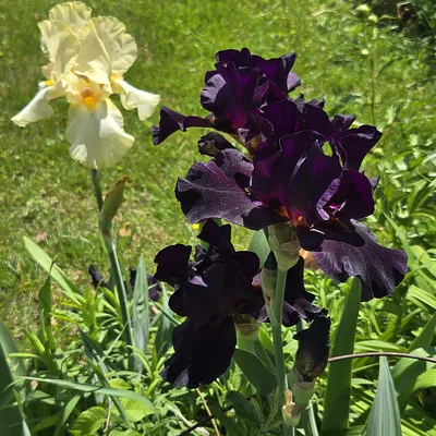 Photo from a guest